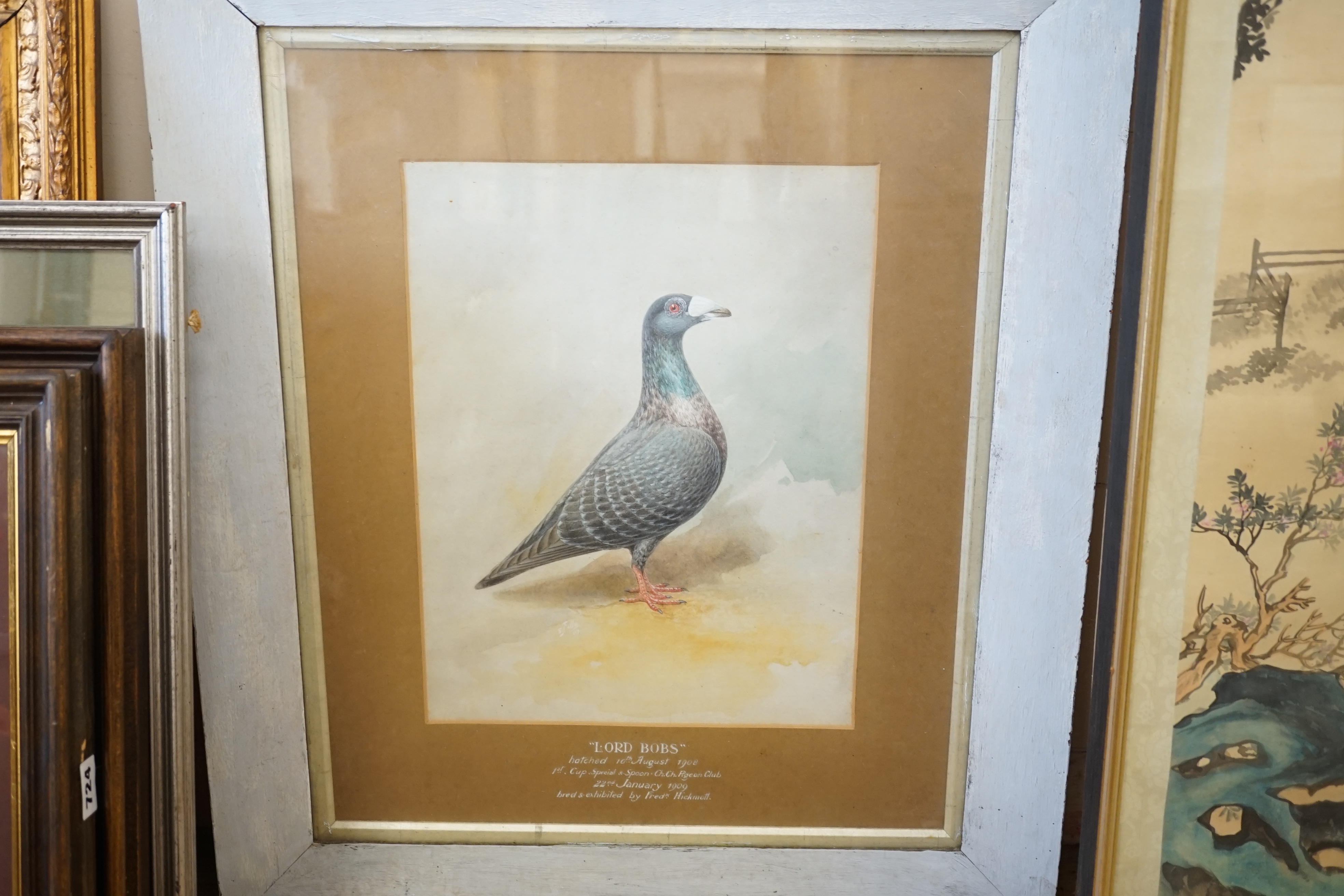 English School c.1900, watercolour, Portrait of the racing pigeon 'Lord Bobs' c.1909, 38 x 28cm